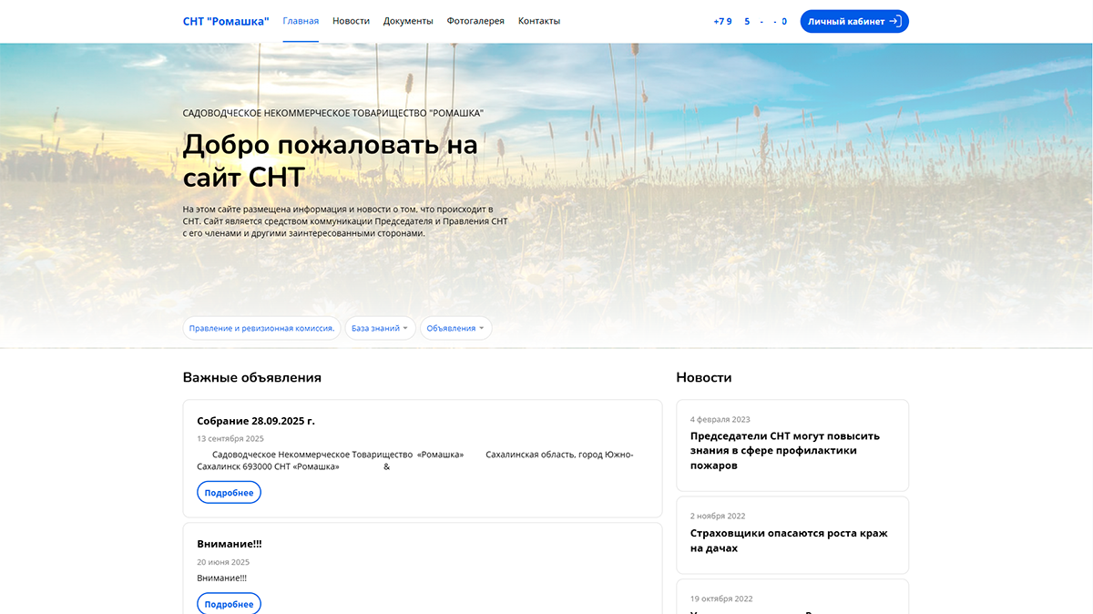 Один из вариантов внешнего вида сайта