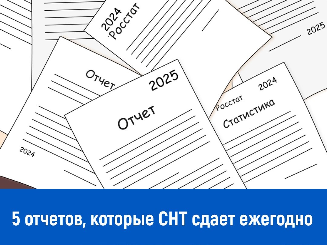 Какие отчеты СНТ сдает ежегодно — полный список и сроки на 2025 год