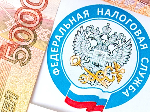 Налоги в СНТ в 2024 году: полный гид для дачников 