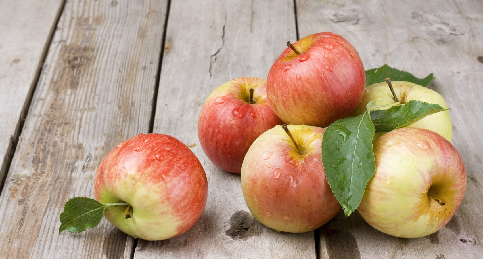 В садоводческих товариществах Подмосковья соберут излишки яблок